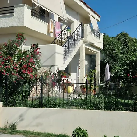 Anna's Politika
